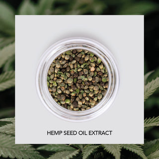 Balsam torrt och skört hår | Hemp