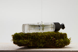 Hemp Elixir | Lyxig hårolja för torrt & skadat hår - 50ml