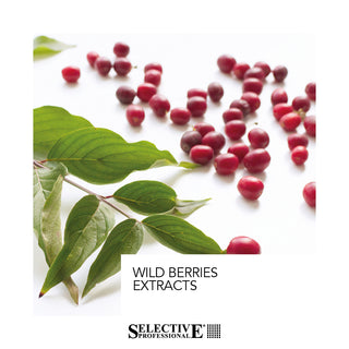 Duo färgbevarande schampo + balsam | Color Block 1000ml