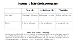 Behandling för Extremt Skadat Hår | Djupreparerande kur & långvarig lagning | 3-steg