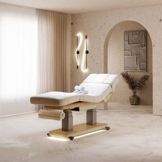 elektrisk-massagesäng-ekdetalj-1