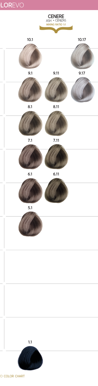 Colorevo Beyond Permanent Hårfärg – Askfärger 100ml